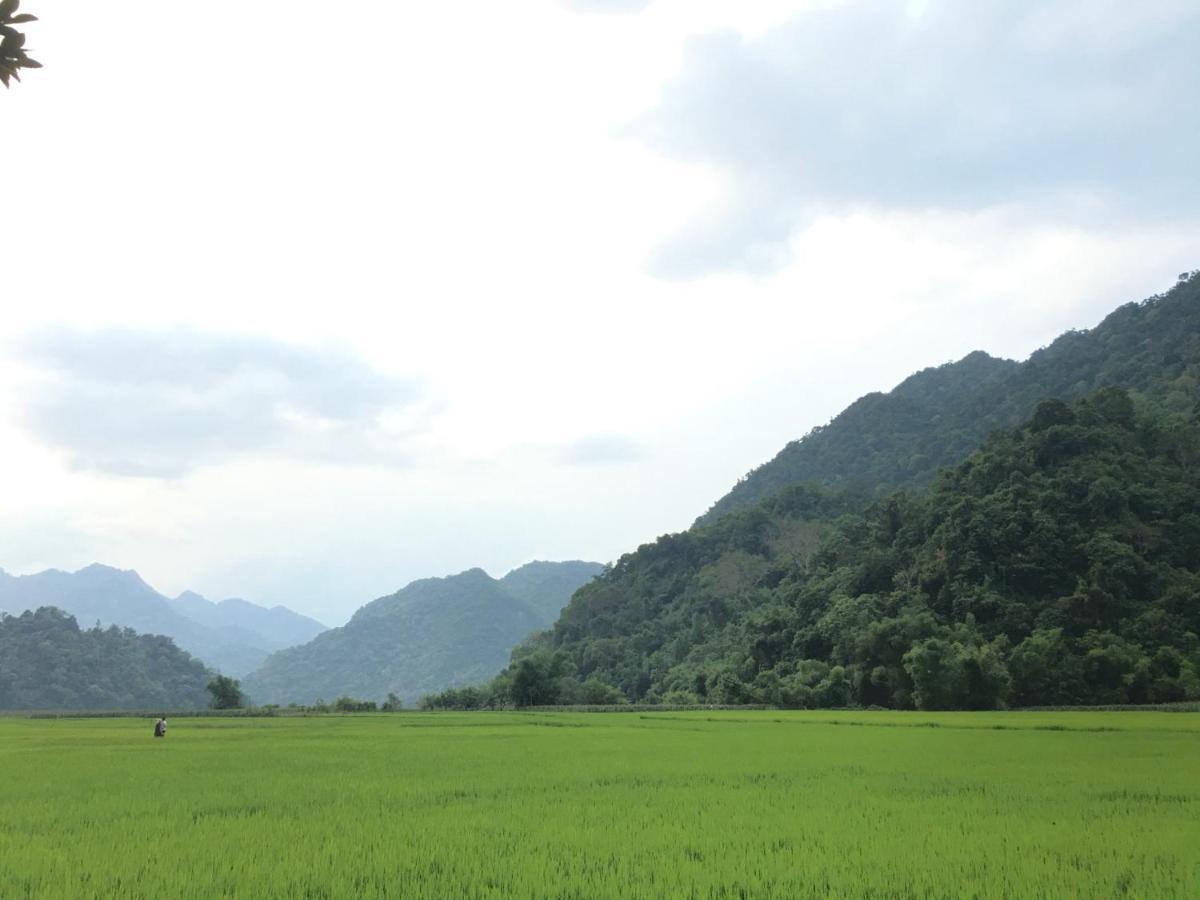 Hoang Quan Homestay Ba Be ภายนอก รูปภาพ